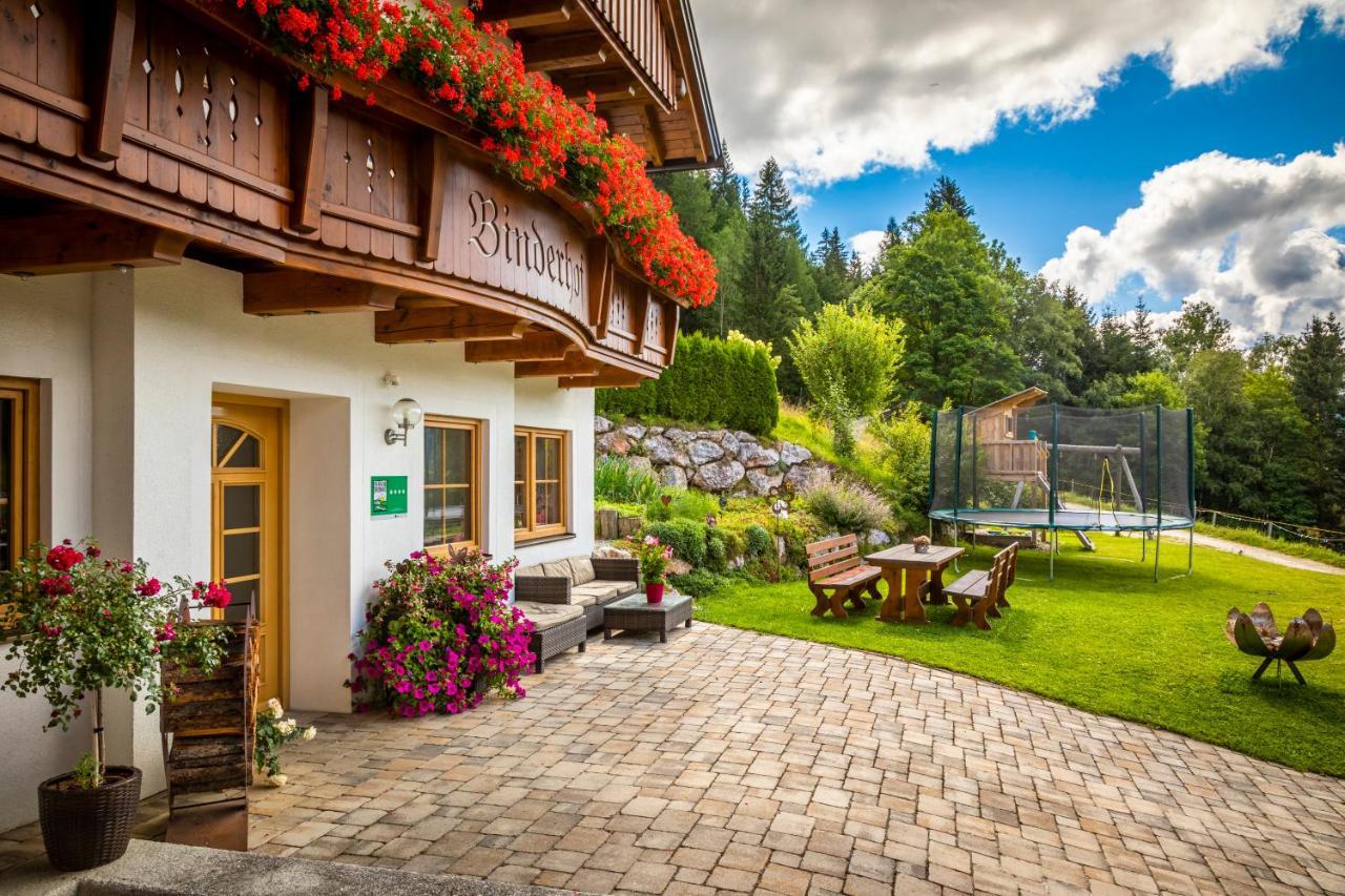 Binderhof Apartment Weisspriach Екстериор снимка