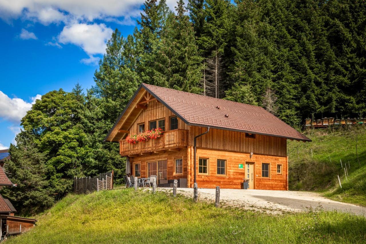 Binderhof Apartment Weisspriach Екстериор снимка